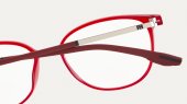 RAMA DE OCHELARI  MANGO PULL&BEAR PBI0022ROJ